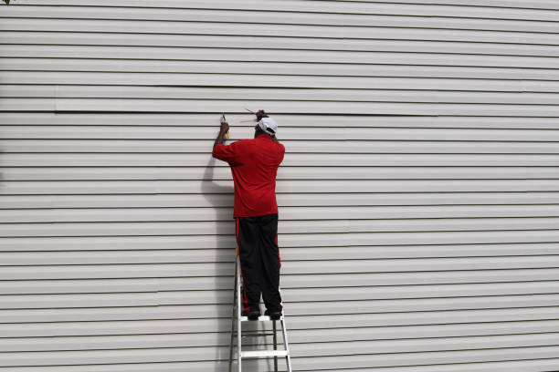 Best Shed Removal  in Gladwin, MI